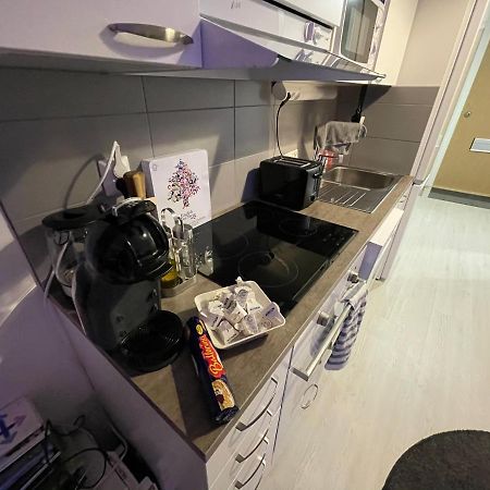 Arctic Penthouse Studio With Free Parking And High-Speed Wi-Fi Rovaniemi Buitenkant foto