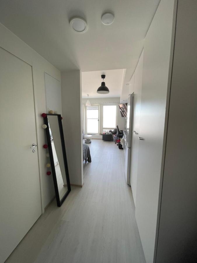 Arctic Penthouse Studio With Free Parking And High-Speed Wi-Fi Rovaniemi Buitenkant foto