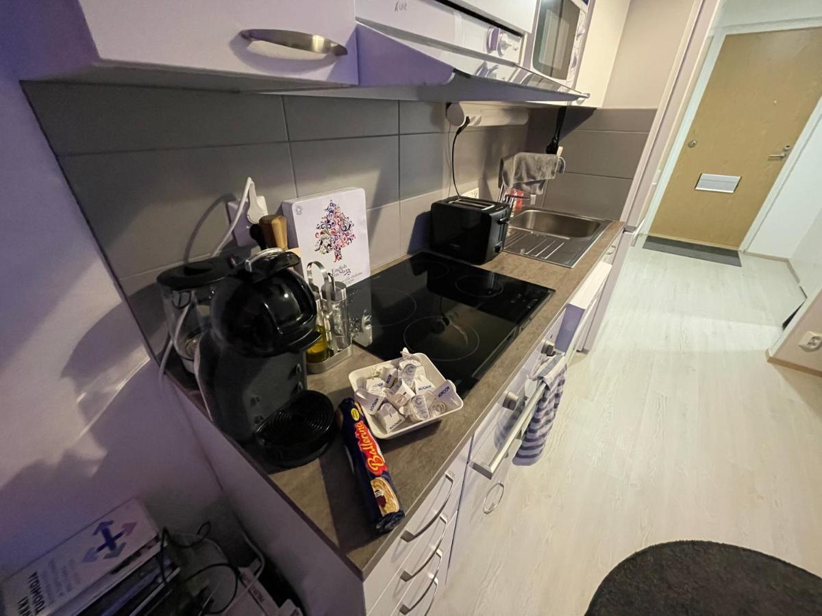 Arctic Penthouse Studio With Free Parking And High-Speed Wi-Fi Rovaniemi Buitenkant foto