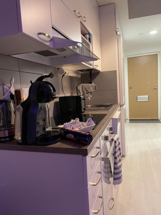 Arctic Penthouse Studio With Free Parking And High-Speed Wi-Fi Rovaniemi Buitenkant foto